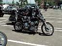 pana0087.jpg