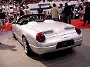 dsc06201.jpg