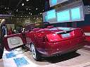 dsc07805.jpg