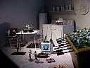 dsc07956.jpg