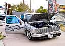 dsc07527.jpg