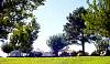 DSC07220.JPG