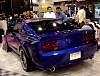 DSC07932.JPG