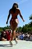 dsc02536.jpg