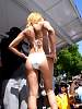 dsc02545.jpg