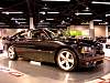 dsc05988.jpg