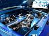 dsc03975.jpg