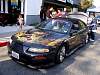 dsc03993.jpg