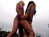 dsc08871.jpg