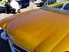 DSC08495.JPG