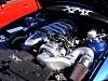 DSC08591.JPG