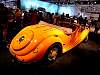 dsc09734.jpg