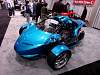 dsc09988.jpg