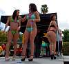 DSC_0339.JPG