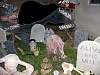 DSC01367.JPG