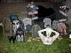DSC01371.JPG