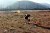 IMG_8501.JPG