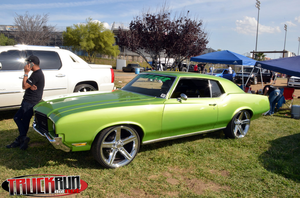 dsc (421)